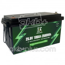 Аккумулятор IDELAKKU LiFePO4 IB-24-100 24V/100AH, 2560W*h